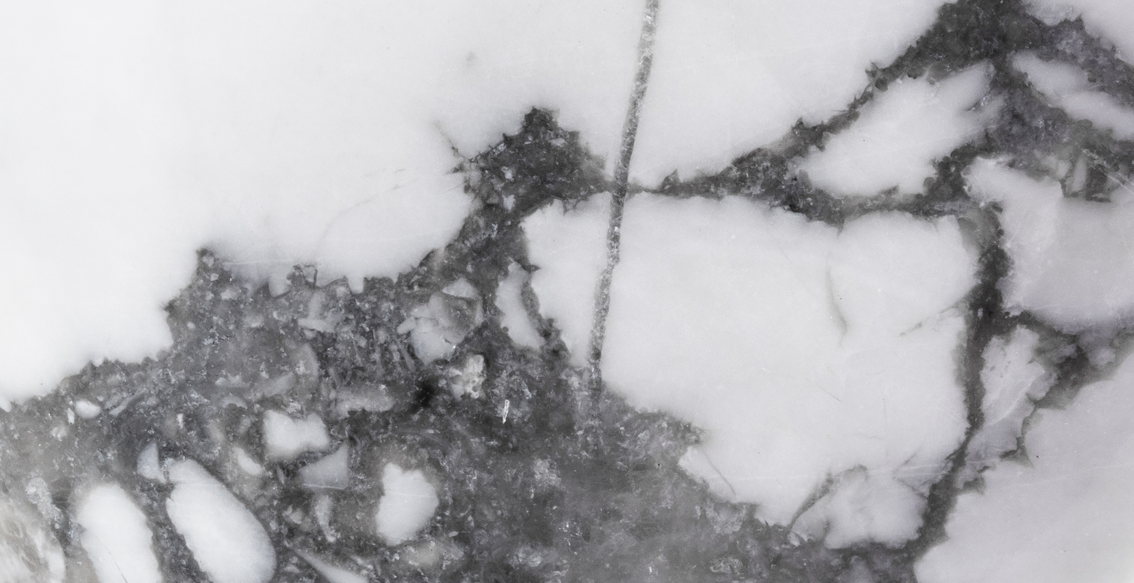 L'Howlite blanche