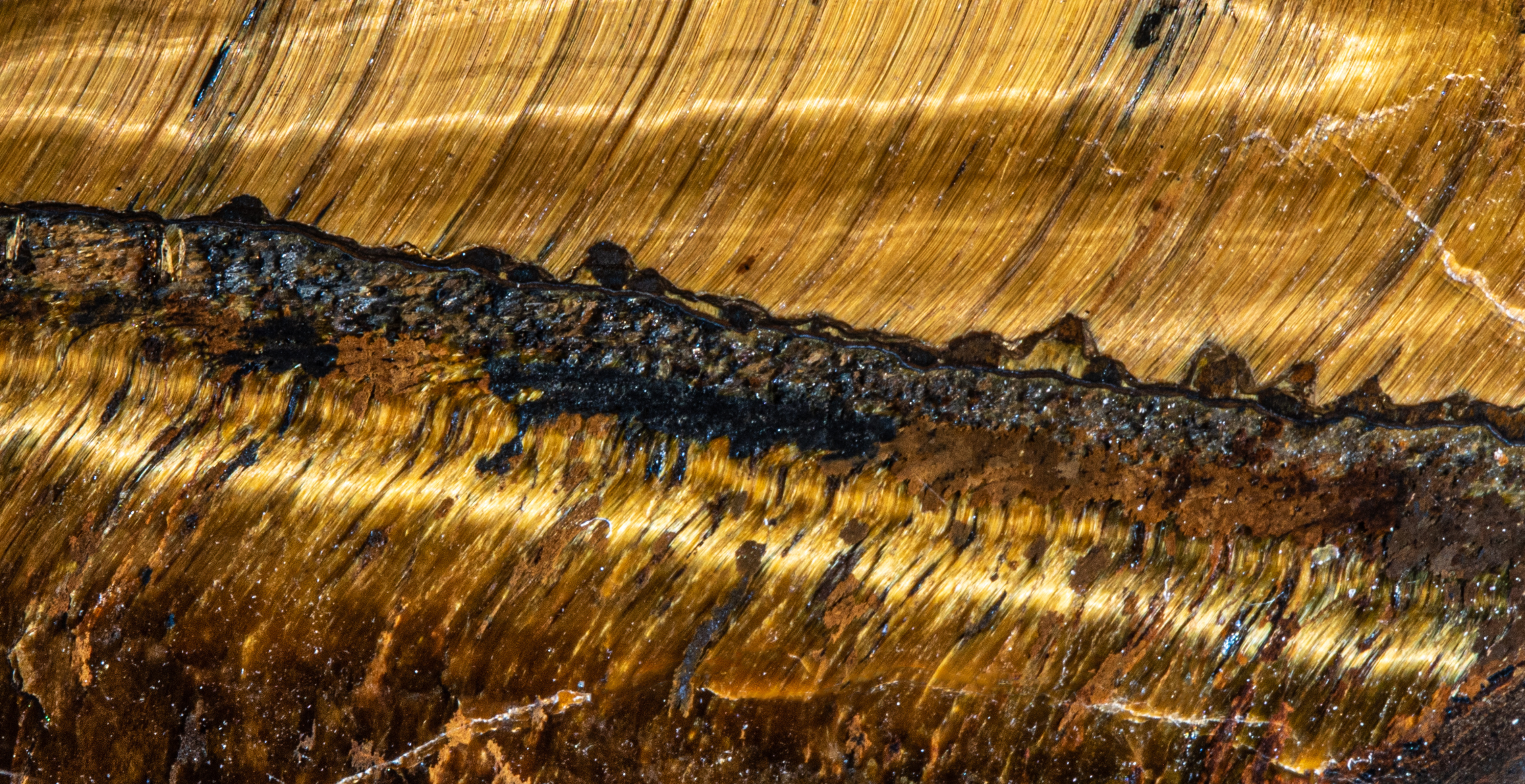 L'oeil de tigre