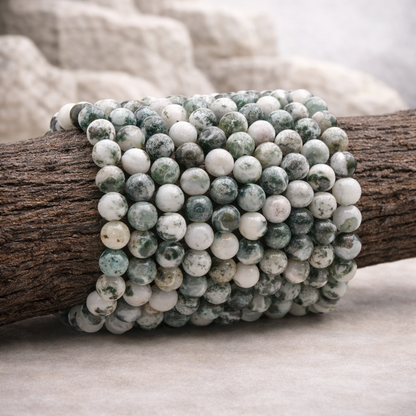 Bracelet perle en Agate arbre, qualité A, pierre d'enracinement